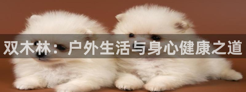 双木林：户外生活与身心健康之道