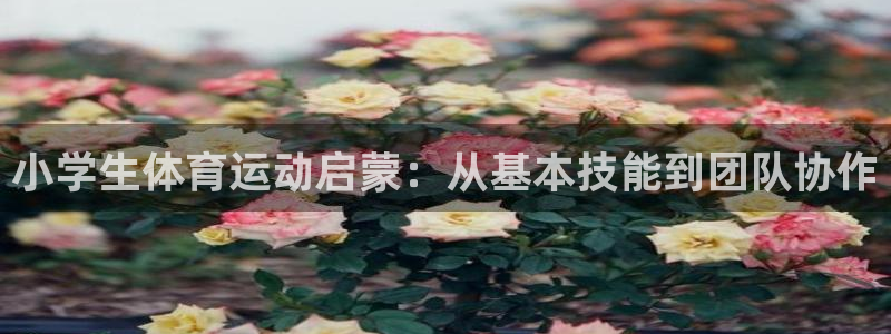小学生体育运动启蒙：从基本技能到团队协作