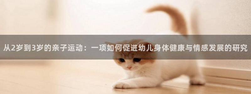 从2岁到3岁的亲子运动：一项如何促进幼儿身体健康与情感发展的研究