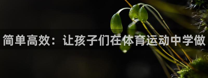 简单高效：让孩子们在体育运动中学做