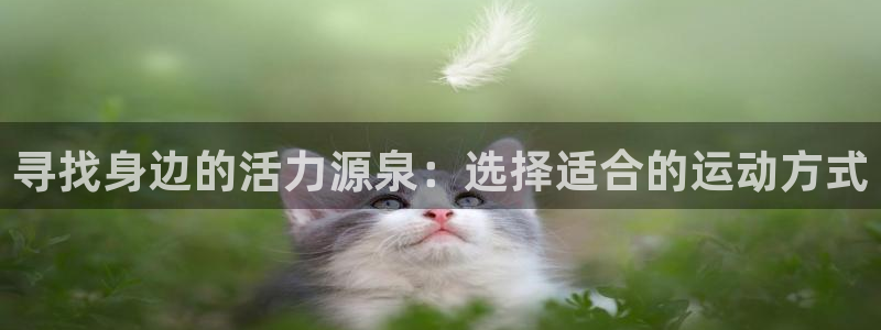 寻找身边的活力源泉：选择适合的运动方式