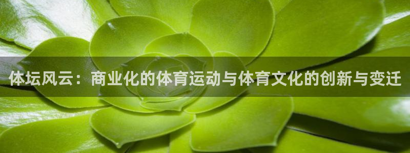 体坛风云：商业化的体育运动与体育文化的创新与变迁