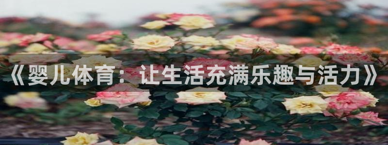 《婴儿体育：让生活充满乐趣与活力》