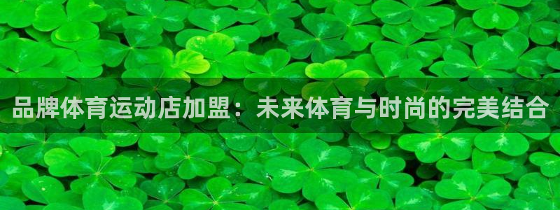 品牌体育运动店加盟：未来体育与时尚的完美结合